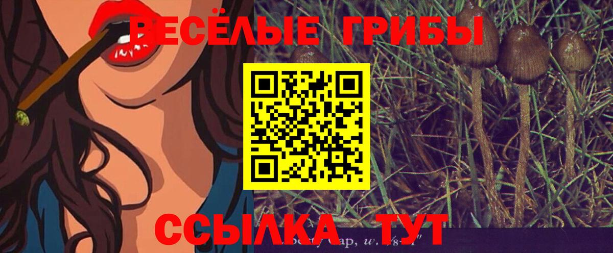 Галлюциногенные грибы прущие грибы Солнечногорск